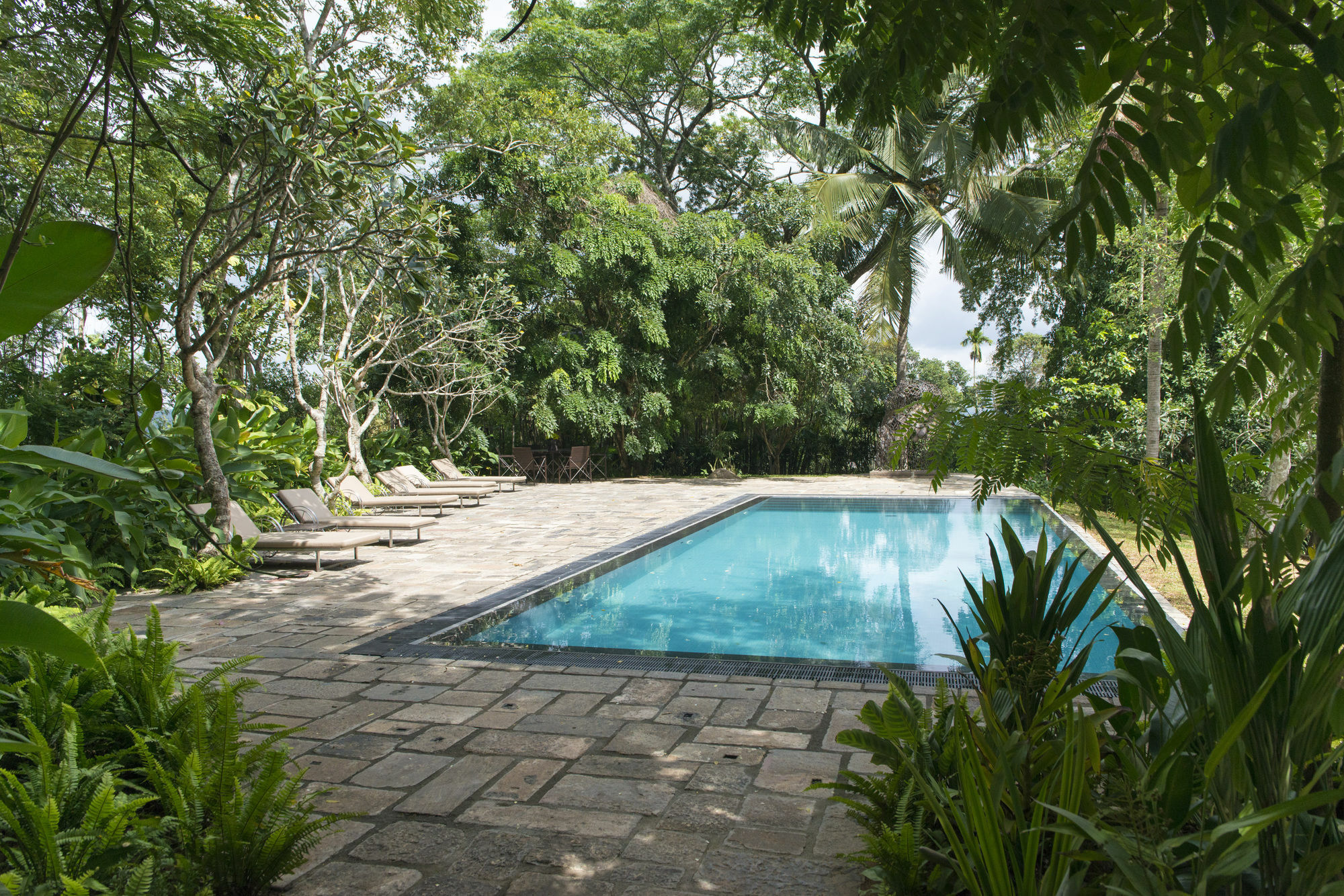 Stone House, Kandy Extérieur photo